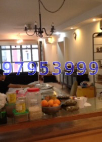 Blk 453 Choa Chu Kang Avenue 4 (Choa Chu Kang), HDB Executive #19666342